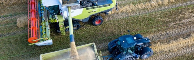 UURING | Viljakasvatajate sissetulek väheneb veerandi võrra ja sealiha läheb pea poole kallimaks