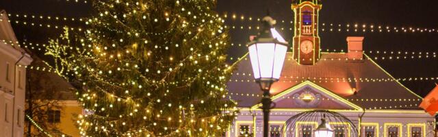 Tartu linnavalitsus otsib raekoja platsile sobivat jõulukuuske