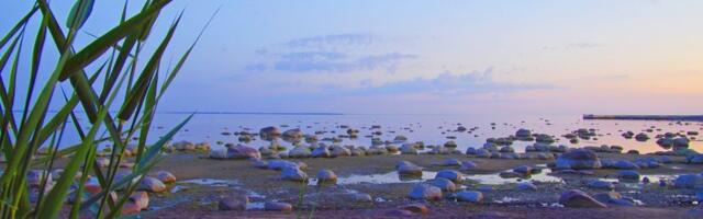 Jaanus Volmre NÄDALA FOTO