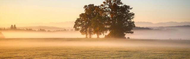 Selgus 2025. aasta ilmasündmus