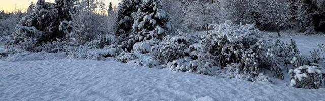 ILMATEADE | Lumekiht on kuni 8 cm paksune. Ka uuel nädalal sajab iga päev lund ja lörtsi