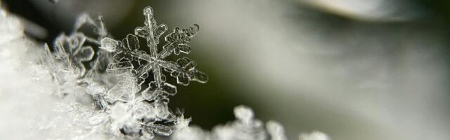 Talvises kestlikkuse infokirjas on juttu kliimamuutustega kohanemisest, antibiootikumide resistentsusest ja Eesti esimestest trükitud raamatutest