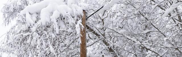 Võimas rekord_ Eesti elektritarbimine tegi täna hommikul ajaloolise hüppe