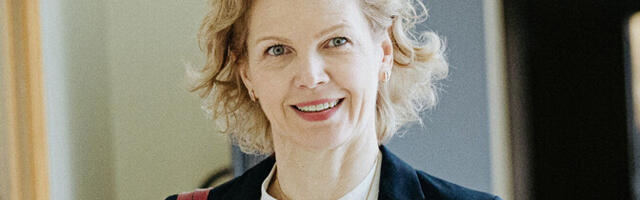 Evelin Poolamets: loosung ei ole energiapoliitika