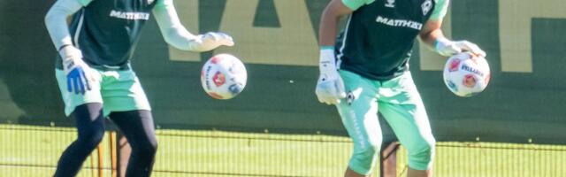 Vähemuses Hoffenheimile kaotanud Werderi kriis süvenes veelgi. Hein pingil