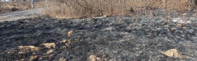 Lõuna-Eesti päästjad said väljakutsed Tartust, Valgast ja Võrumaalt