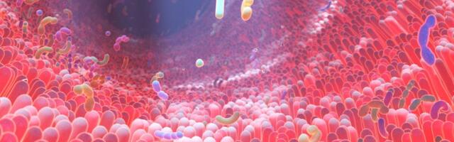 Soolestiku mikrobioota ennustab II tüüpi diabeedi teket