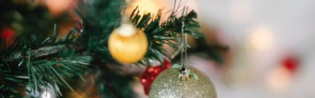 Igas kolmandas Eesti kodus on kunstjõulupuu Igas kolmandas Eesti kodus on kunstjõulupuu