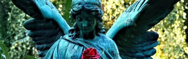 Angel Message: Tuesday, October 14, 2025 – You are protected, loved, and guided.