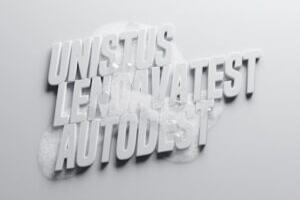 Liina Lelovi „Unistus lendavatest autodest“ A-galerii seifis