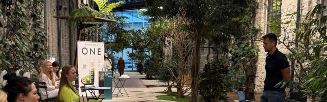 Kontoritöötajaid kimbutavad need neli peamist tervisemure. Kuidas ennast aidata?