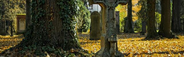 Enamikke kõrge vaktsineeritusega riike räsib liigsuremus, mis pole Covidiga seotud