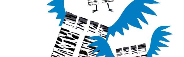 Taevast sajab aknaid