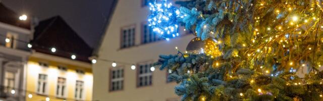 Talvine maraton ja suvine sprint. Kuidas eestlaste huvi jõulude ja jaanipäeva vastu internetis ajas muutunud on