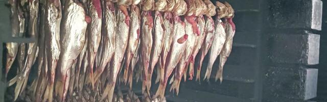 Reporter: Kihnul peeti Räimeretke