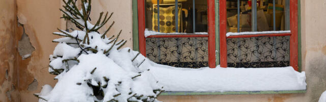 Neljapäeval on Eestis keskmiselt -10 kraadi