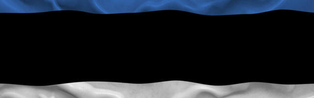 Eesti lippu kannavad XXV taliolümpiamängude avatseremoonial Talihärm ja Liiv