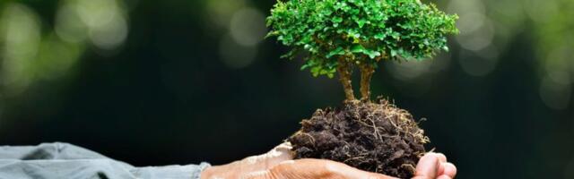 KIK toetab õpilaste rohetehnoloogia teadlikkuse suurendamist