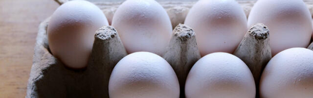 Eesti munatoodang on viimased kuus aastat kasvanud