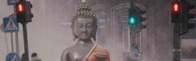 Ellu jäämiseks võiksime lõpetada kaamosega kaklemise