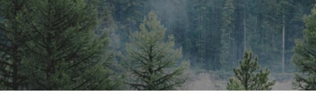 Thermory võtab tööle keskkonnajuhi