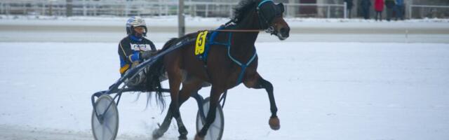 Tallinna hipodroom tähistab enda 100. sünnipäeva viimase võistlusega