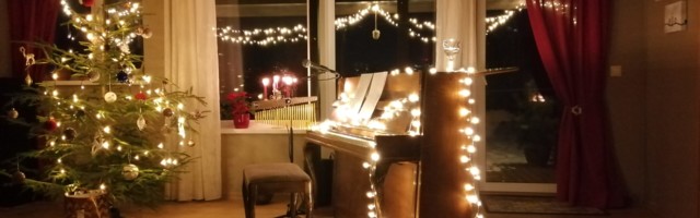 Hedvig Hanson: mu rõõmus jõuluüksindus