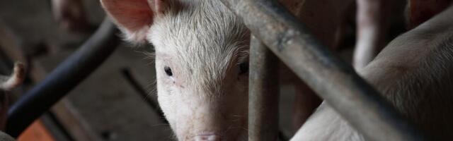 Seakatku tõrjeks kavandatakse uusi samme ja lisarahastust