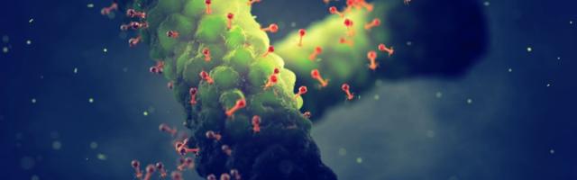 Faagid võivad siiski resistentsuse tõusu tõkestada