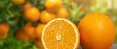 Universaalne tervendaja C vitamiin