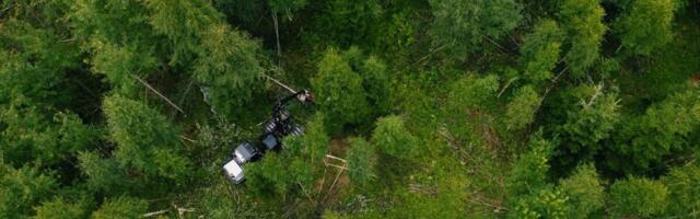 Keskkonnaamet jälgib pesitsusrahust kinnipidamist droonide abil