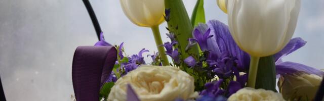 Peipsiääre valla sädeinimesed pälvisid pidulikul aktusel tunnustuse