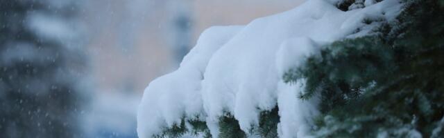 ILMATEADE | Sajupilved katavad Eesti. Sajab lund, lörtsi ja ka vihma