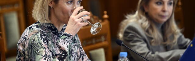 Euroopa kõrge esindaja mage suuvärk: poliitiline olukord ajab Kaja Kallase jooma