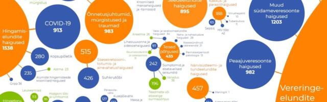 TAI statistika: kasvas alkoholist ja narkootikumidest põhjustatud surmade arv