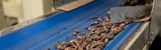 Töötlevas tööstuses tõusid hinnad mitmendat kuud järjest