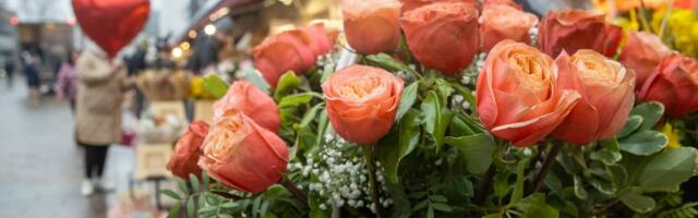 POLIITKOLUMNIST | Jana Toom: meespoliitikud, soolake oma lilled sisse...