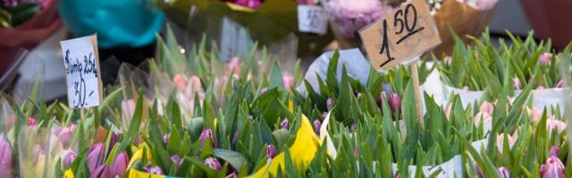 Kevad ja suvi kujundavad lillede populaarsust. Roos on eestlaste vaieldamatu lemmik