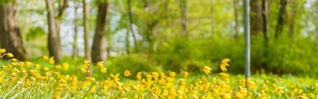 Nädal toob vihmalootust