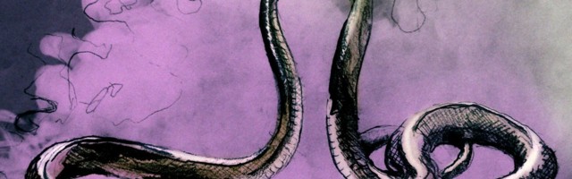 Siim Sinamäe: Kobra duett