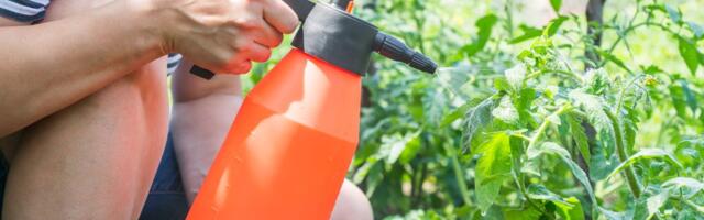 Taimekaitses tuleb tegutseda õigeaegselt