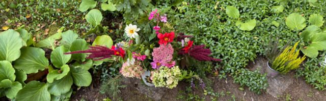 PILTUUDIS | Pidu Kassaris – Lepa Anna 130