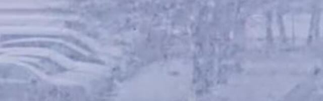 VIDEO | Lumetorm kogub tuure, Pärnus on tuisu tõttu nähtavus nullilähedane