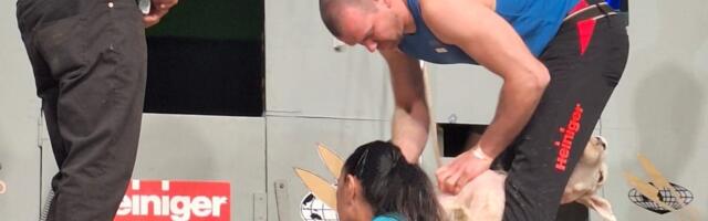 “Kui lammas plehku paneb, oled juba kaotanud.” Eestlased võistlesid Uus-Meremaal MMil