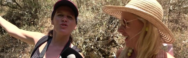 Reporter sattus tulekahjust pääsedes meeldejäävate maitseelamuste lummusesse