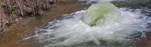 Ida-Virumaal ärkas ellu «kolme nõia kaev»