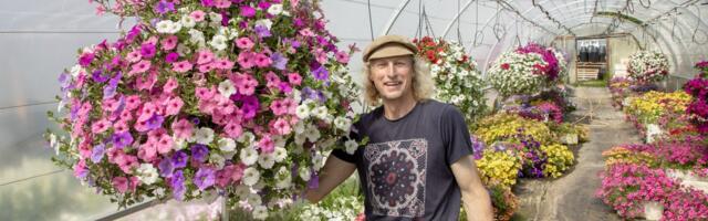 Läänemaa suurim lillekasvataja: „Igal aastal mõtleme, et nüüd enam ei jaksa“