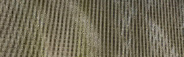 Echo Lucida – Devoid of Reactions (Plaster Fe, 2025)