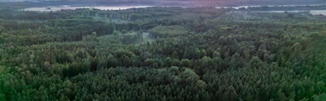 Tööandjad Eesti kliimapoliitikast_ kliimakindla majanduse seadus on praegusel kujul läbikukkunud