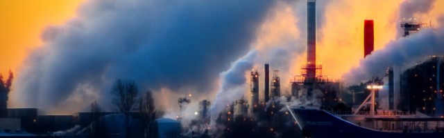 Nüüd teame, kui palju loodust tuleb järgmise kümnendi jooksul taastada, et planeeti päästa